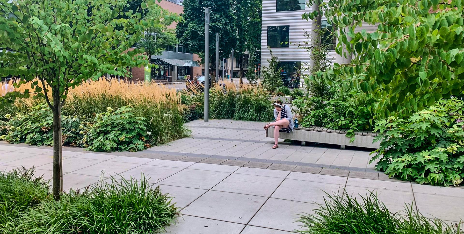 Person sitting on a bench in a landscaped urban plaza with trees, grasses, and shrubs.