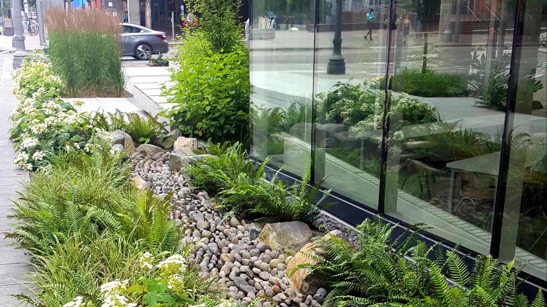 Detail of plantings and rock garden at the PSU Karl Miller Center