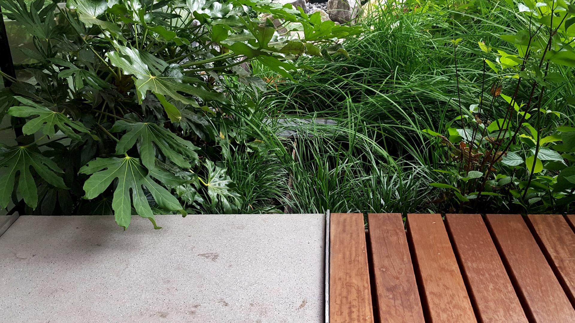 Plant and bench detail at the PSU Karl Miller Center