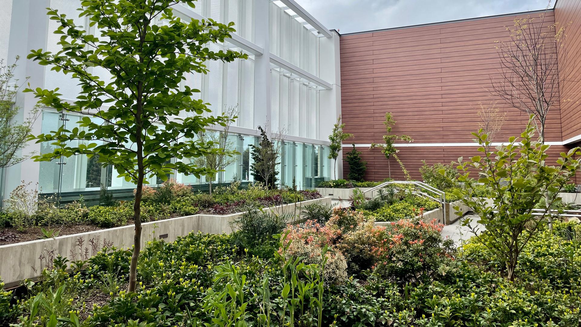 View of the therapeutic garden with trees, shrubs, and accessible pathways.