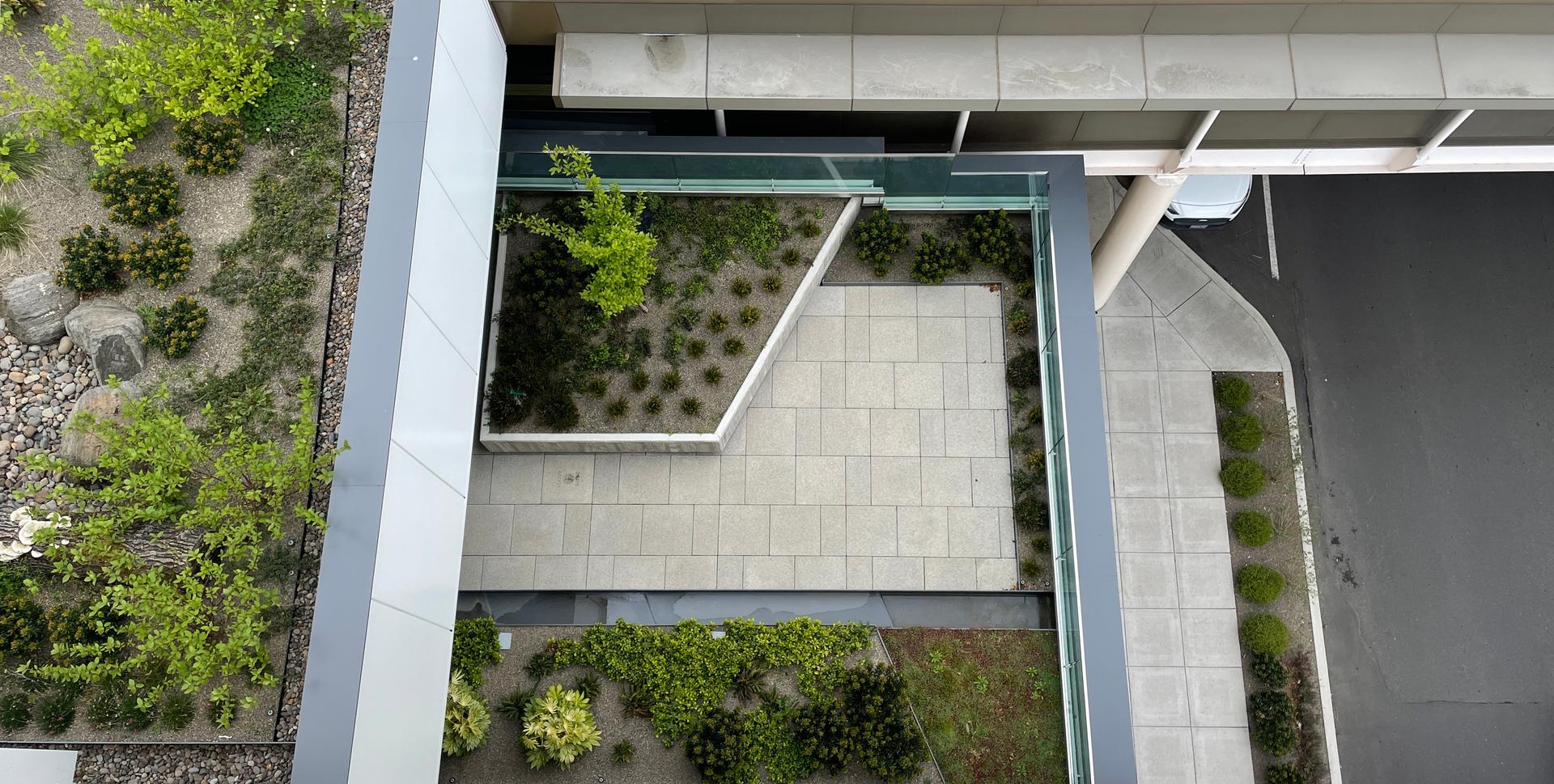 Aerial view of garden paths and plantings beside the building.