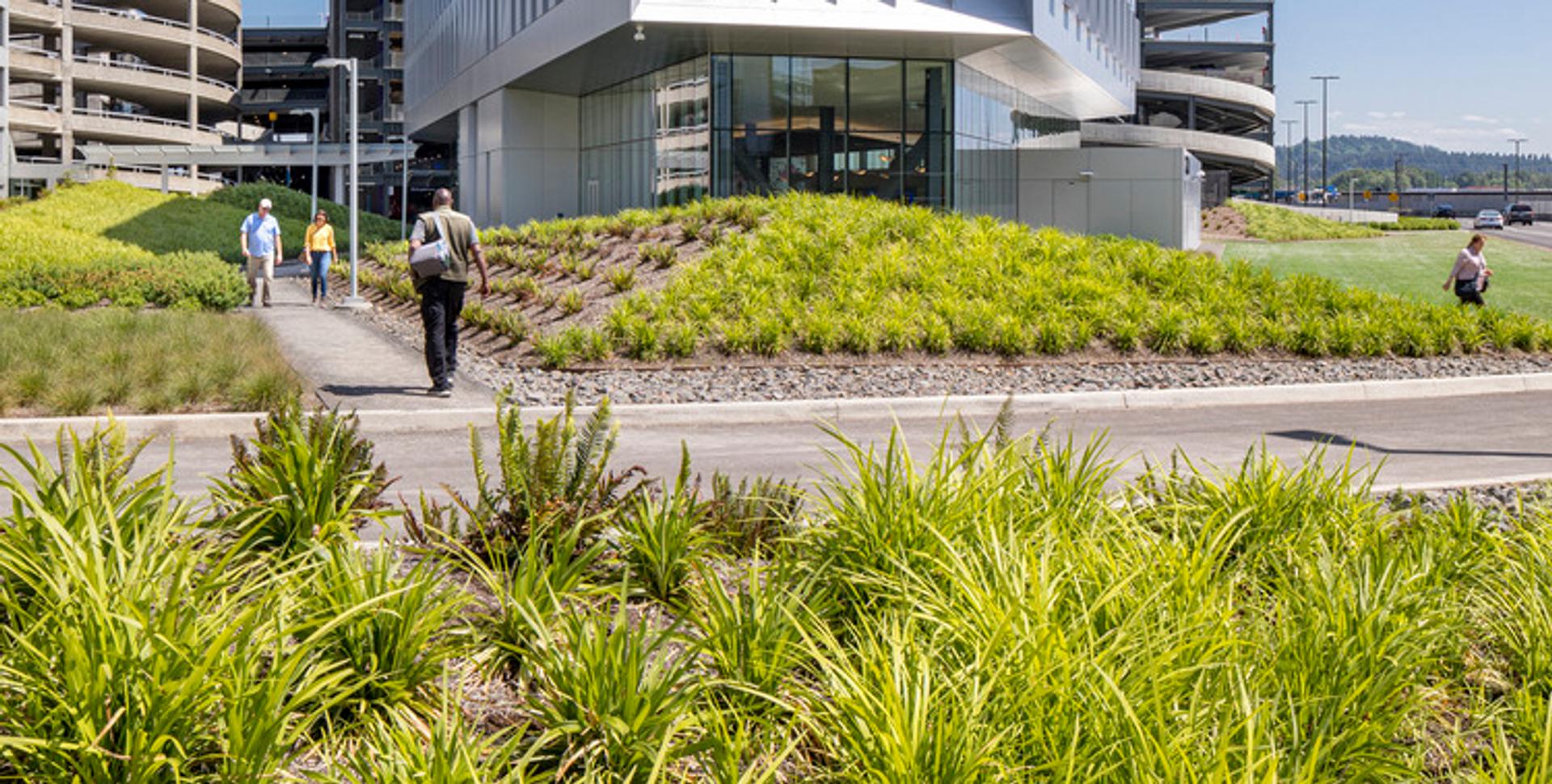 People walking past planted landscaping outside the PACR building at PDX.